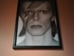 night bowie