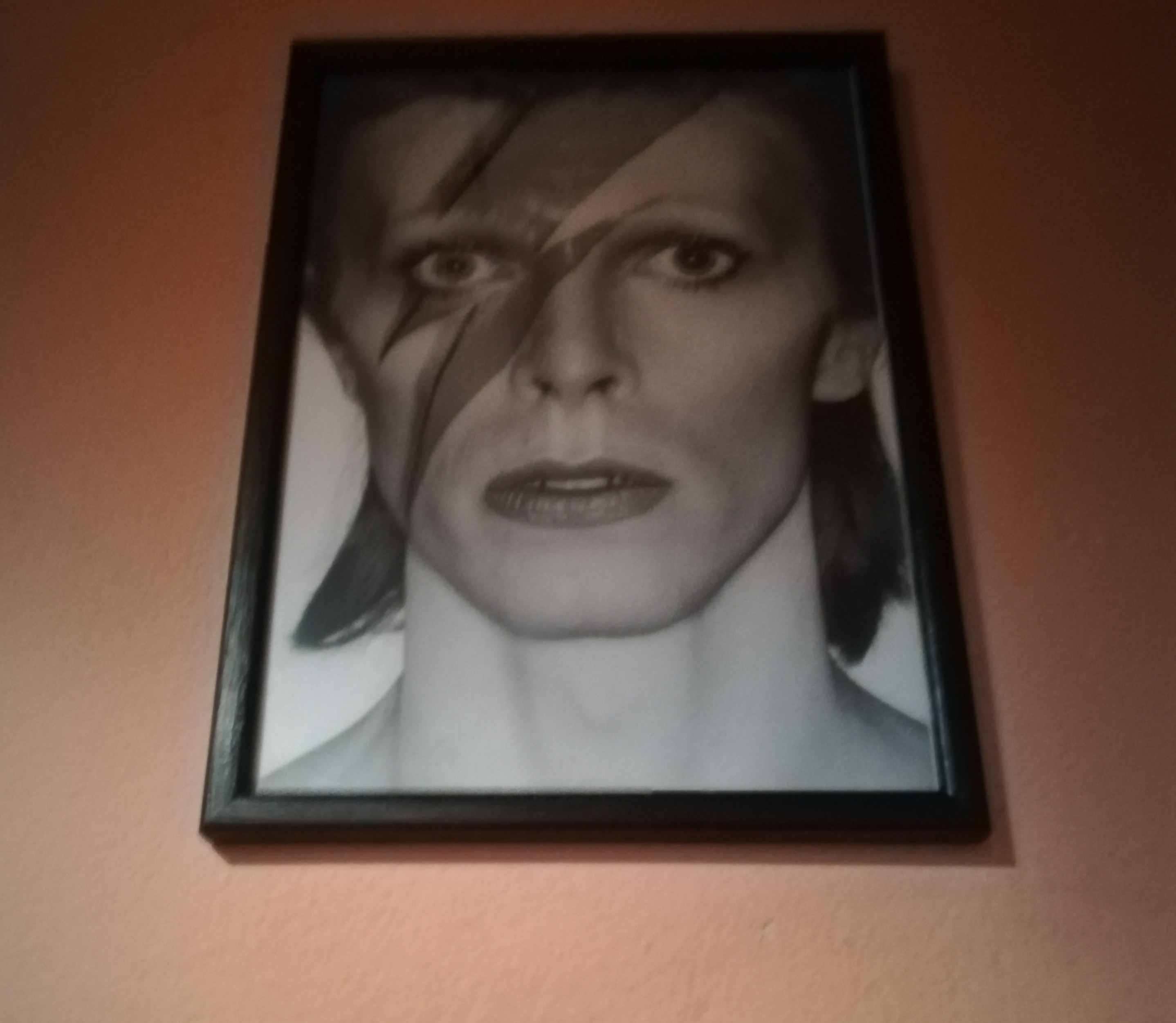 night bowie